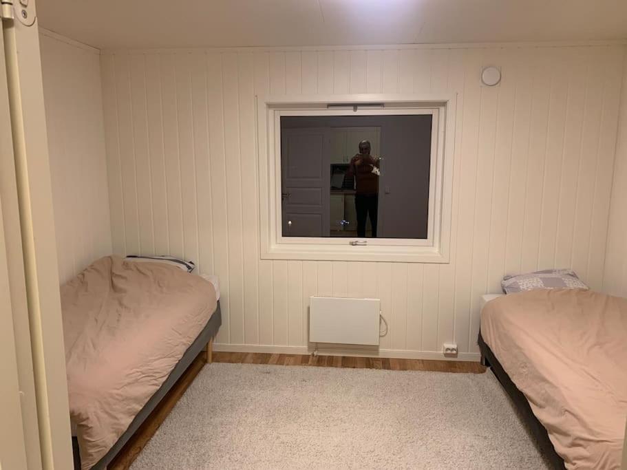 Fin Leilighet I Tromsdalen. Lejlighed Tromsø Eksteriør billede